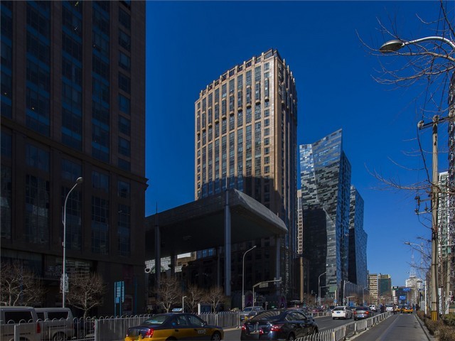 嘉兴三山九天岙绿茶